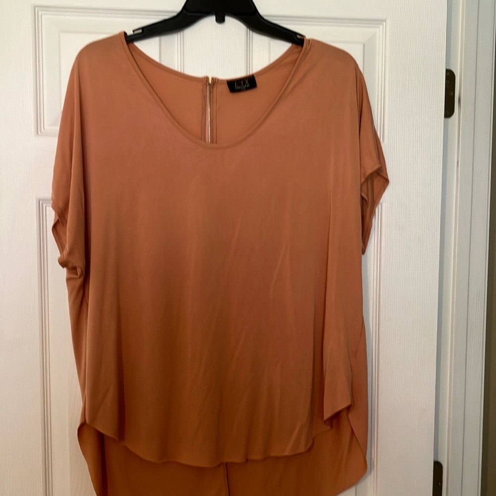 Short sleeved exposed back zip top.  Top is longer in the back than the front.
